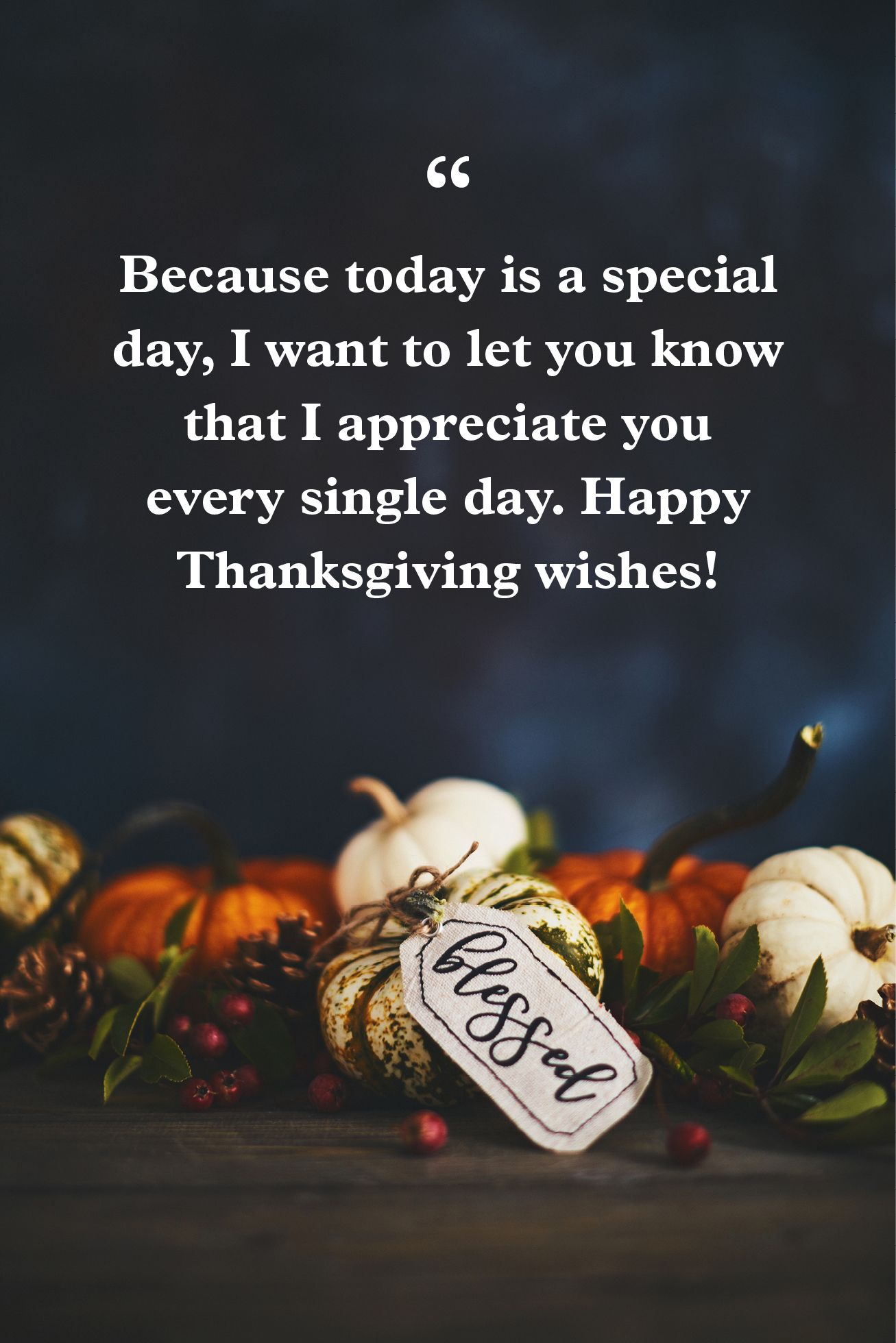 40 Thanksgiving Greetings - What To Write In A Thanksgiving Card