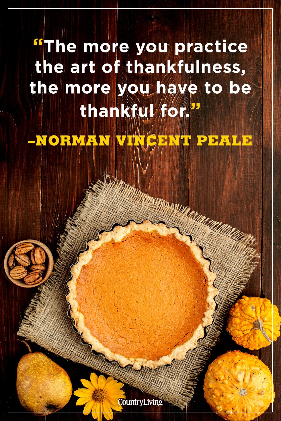 32+ Inspirational Quotes For Thanksgiving - Swan Quote
