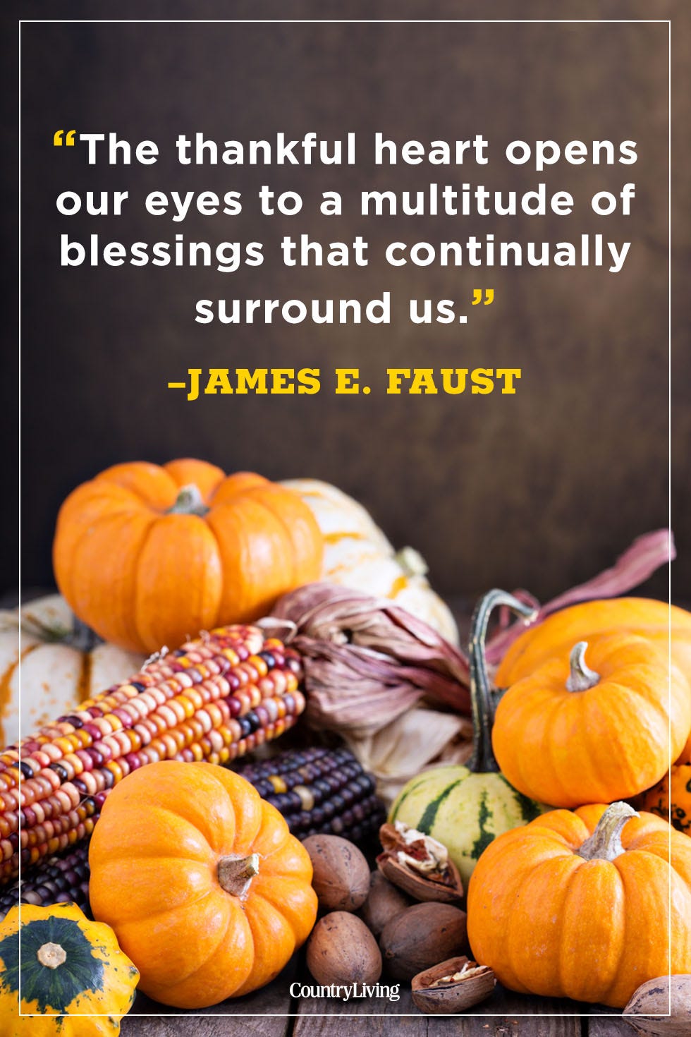 80 Best Thanksgiving Quotes - Happy Thanksgiving Toast Ideas