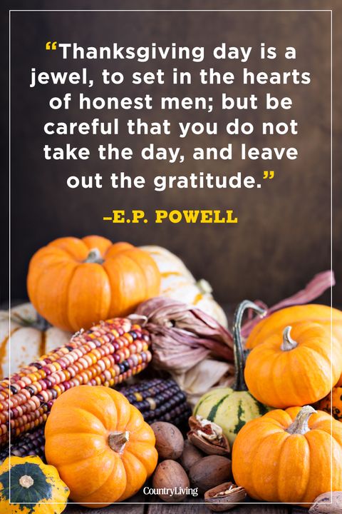 73 Best Thanksgiving Quotes - Happy Thanksgiving Toast Ideas