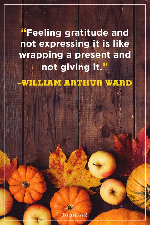80 Best Thanksgiving Quotes 2022 - Happy Thanksgiving Toast Ideas