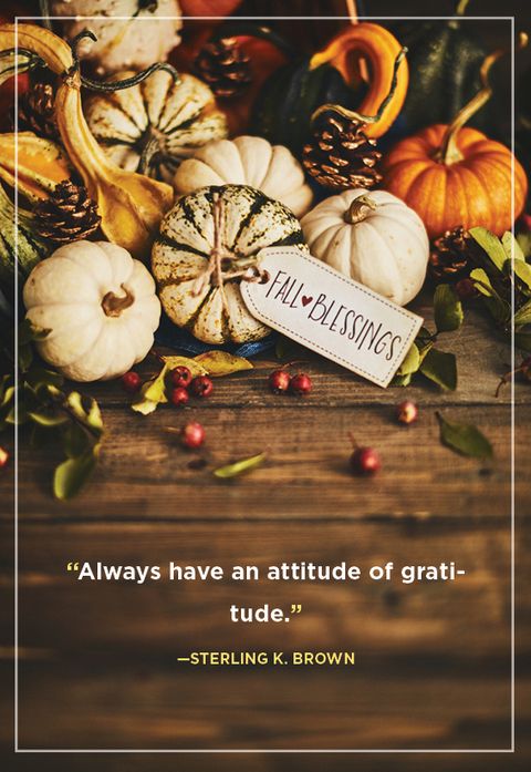 80 Best Thanksgiving Quotes - Happy Thanksgiving Toast Ideas