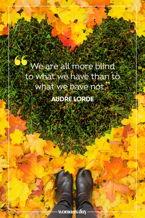 80 Best Thanksgiving Quotes - Happy Thanksgiving Messages 2022