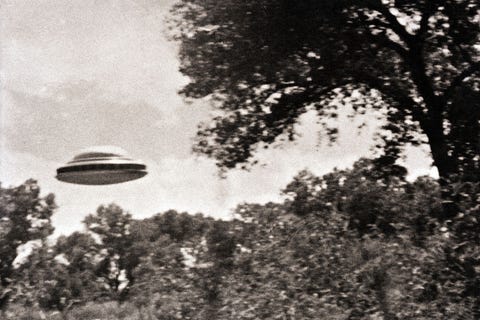 UFO Flying Low Over Trees