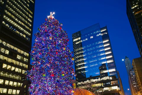 Anchorage Christmas Tree Disposal 2022 Iconic Christmas Trees In Every State - Best Christmas Trees Near Me