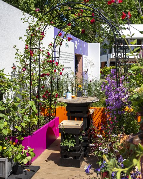 the cirrus garden designed by jason williams balcony garden rhs chelsea flower show 2022