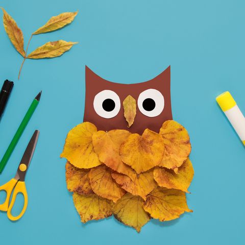 the concept of diy and children's creativity autumn application from natural materials owl