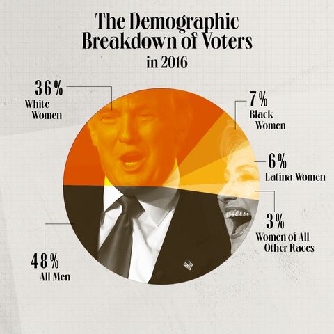 the demographic breakdown of voters in 2016