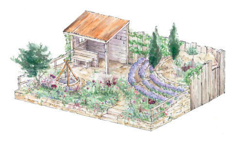 Chelsea Flower Show 2019: Why there might be a lavender shortage