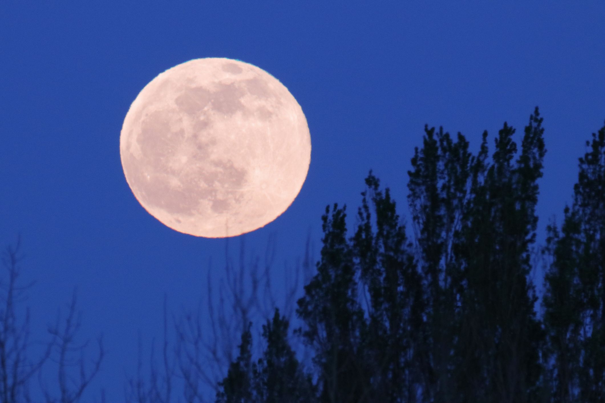 満月いつ】2022年6月14日は満月「ストロベリームーン」！最も美しく見える時間や方角は？