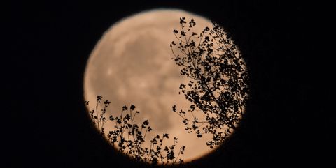 Harvest Moon Rises Over Somerset