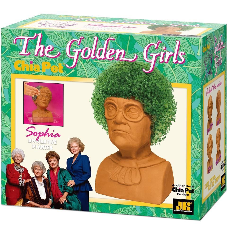'Golden Girls' Chia Pets Exist, And You’ll Want to Grow All 4 of Them