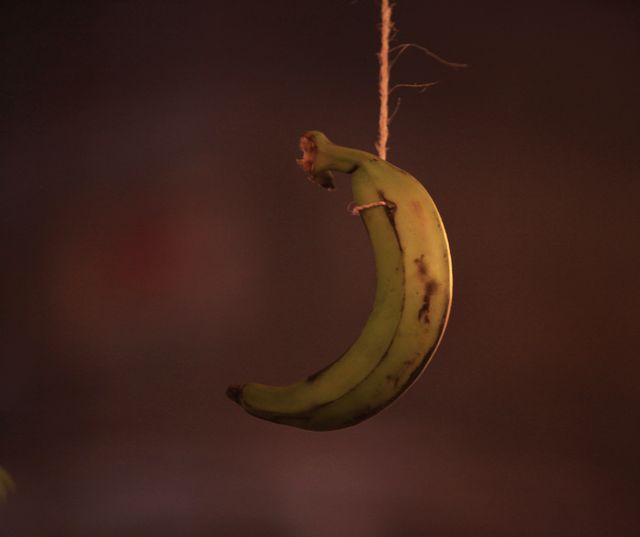 una banana colgada de una cuerda