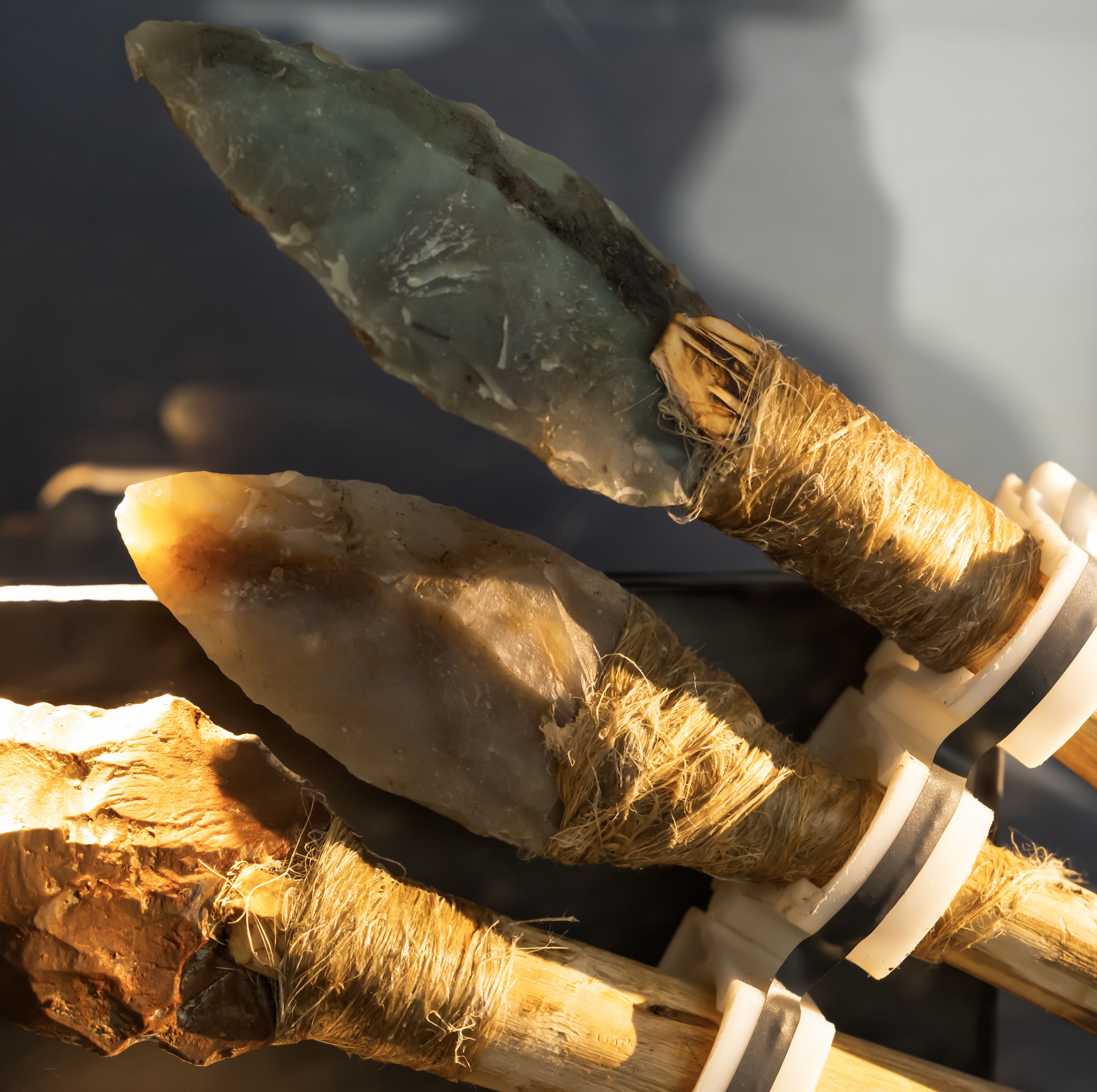 Archaeologists Found a 6,500-Year-Old Hunting Kit With Poisoned Darts Inside