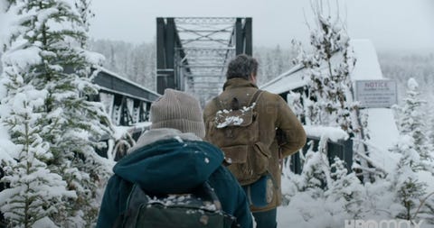 the last of us