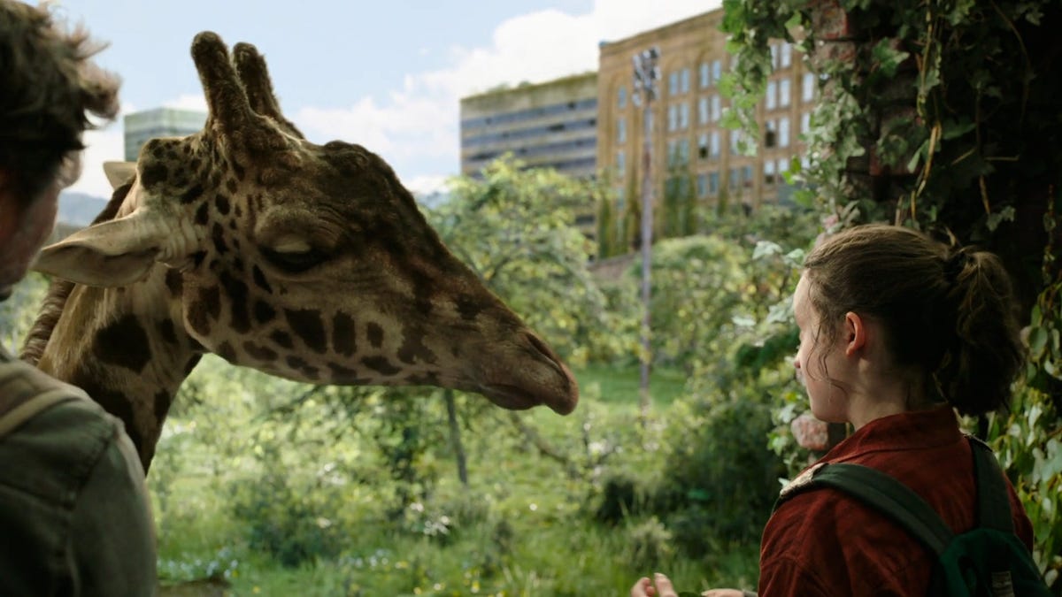 The giraffes of ‘The Last of Us’ 1×09 mean much more than you think