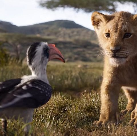 Animal Lioness Toon Porn - This Lion King fan theory will ruin your childhood