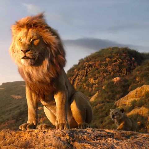 duif schijf acre Disney's new Lion King movie won't be changing anything about one classic  character
