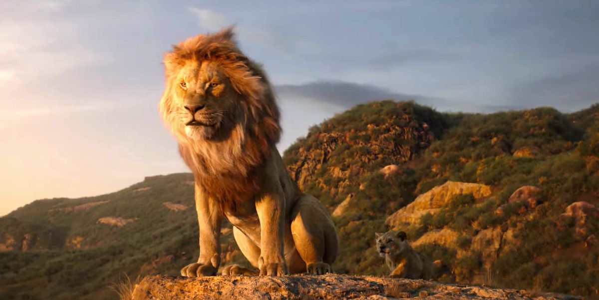 erfgoed tweede Rimpelingen The Lion King 2 has been confirmed and Barry Jenkins is directing