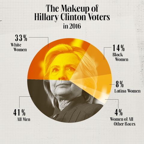 the makeup of hillary clinton voters 2016