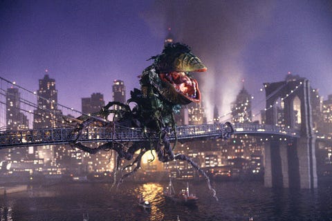 On the Set of Little Shop of Horrors On the Set of Little Shop of Horrors