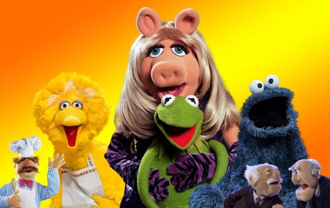 The Muppets the muppets