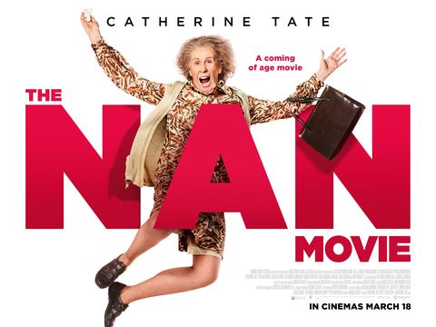 the nan movie poster