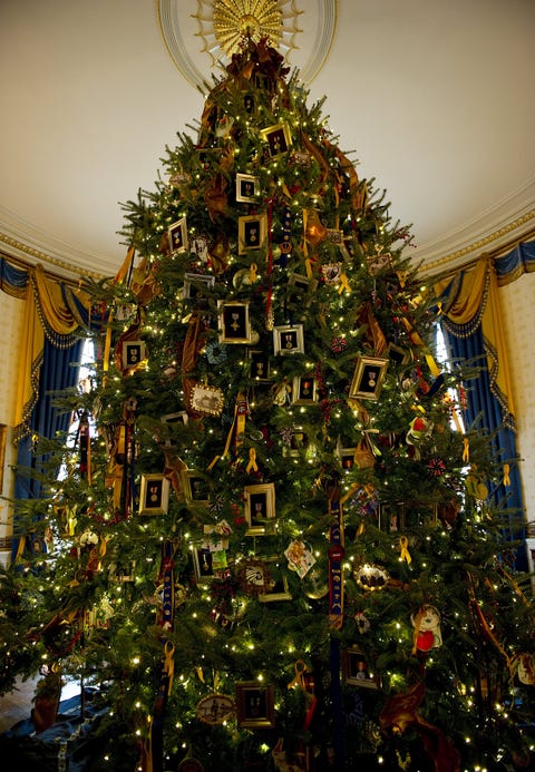 The official White House Christmas tree