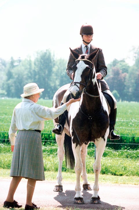 the queen petting prince edward's skewbald horse at the royal windsor horse show