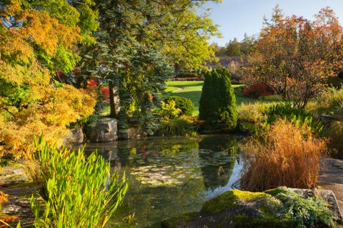 the sandstone rock garden rhs garden harlow carr autumn, october 2019