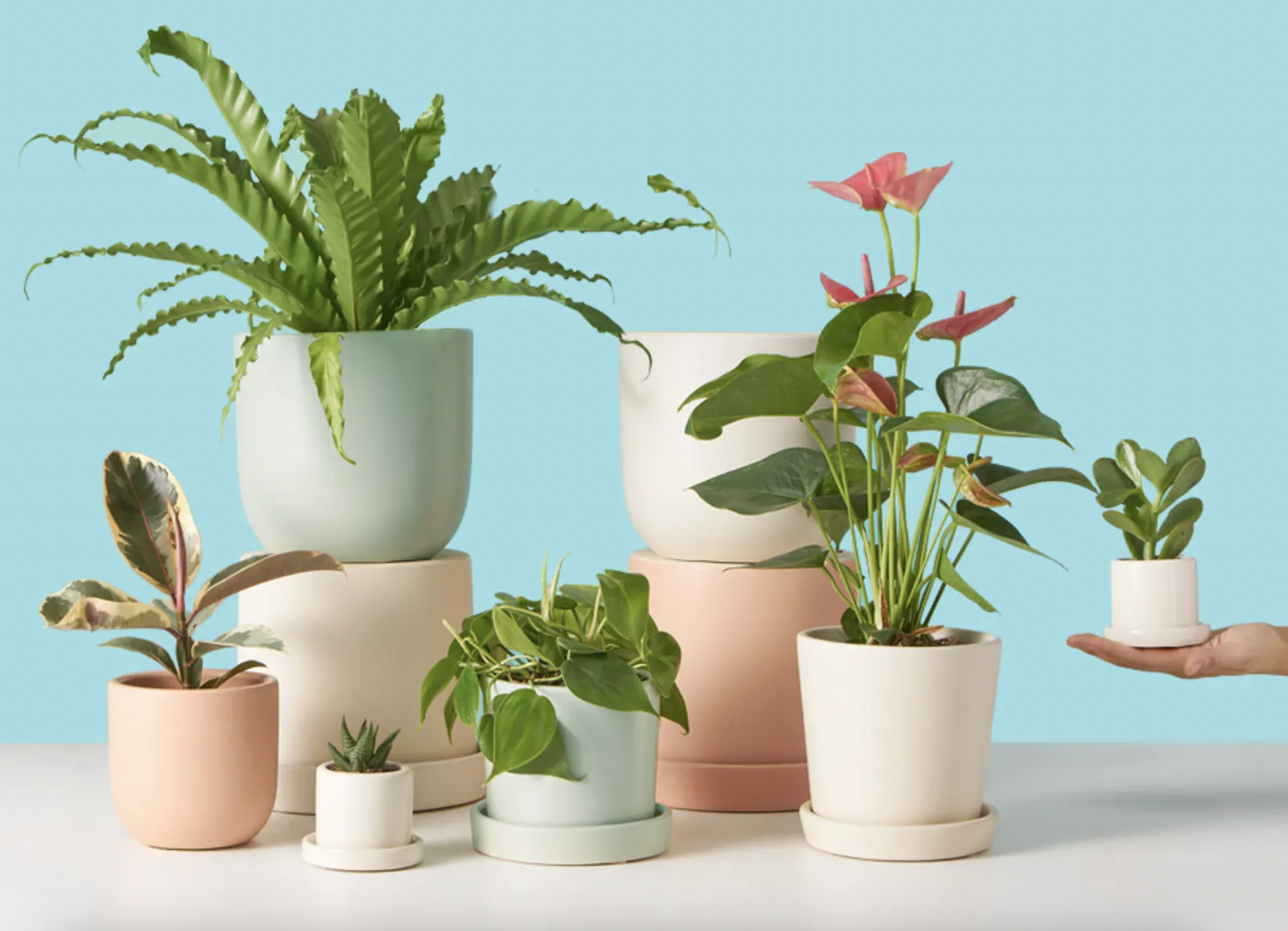 Pastel GREEN Small KNIT Inspired Indoor/Outdoor Garden Plant Pot Planters 