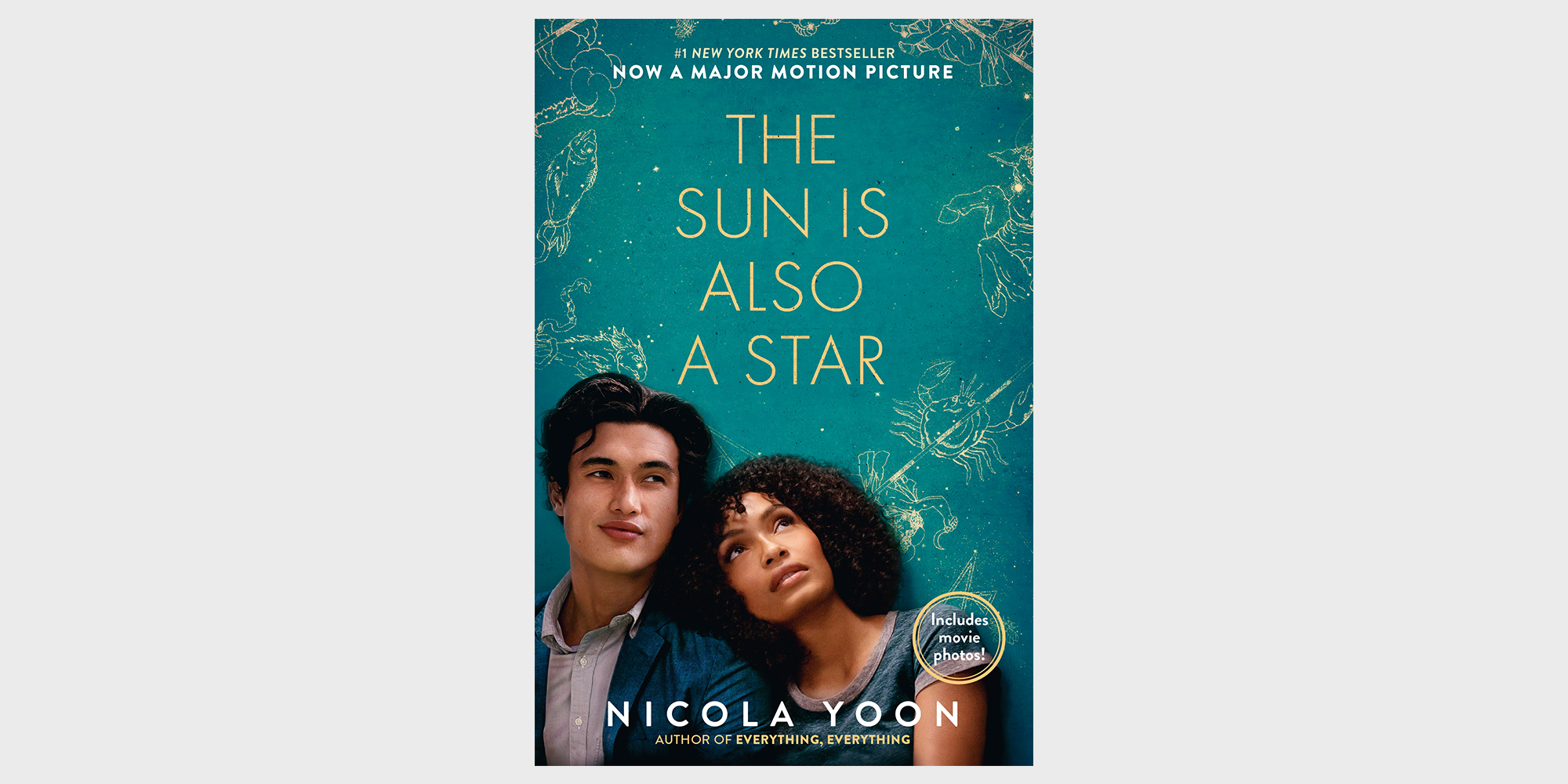 the sun is also a star book review