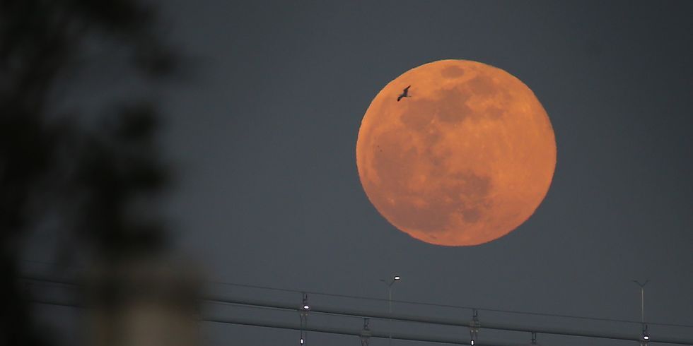 満月いつ 22年4月17日は満月 ピンクムーン 見える時間や方角を解説