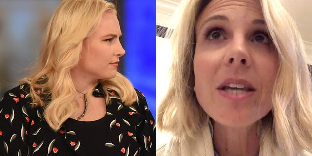 Elisabeth Hasselbeck Calls Out The View Star Meghan Mccain Following Coronavirus Comment Backlash
