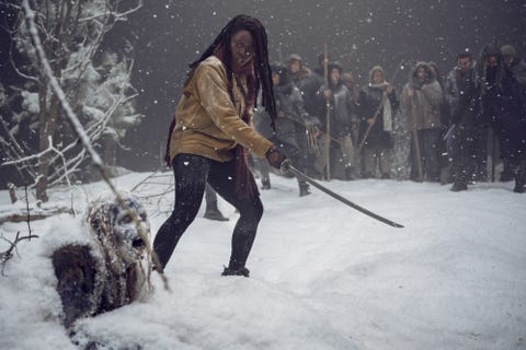 Walking Dead's Michonne vs zombies in first season 10 picture