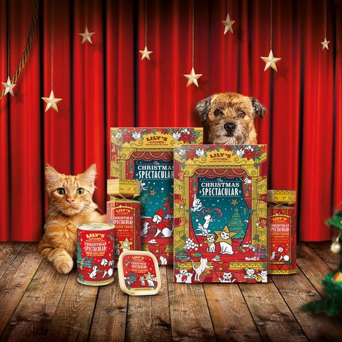 Treat your pet this year with advent calendars for cats and dogs