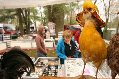 Summer Festivals Near Me - The Best Summer Festivals in the US