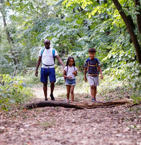 a father and young son and daughter hike along a shady flat trail, a fun thing to do in the summer with kids or teenagers