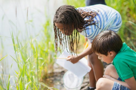 two children near a creek doing a science experiment