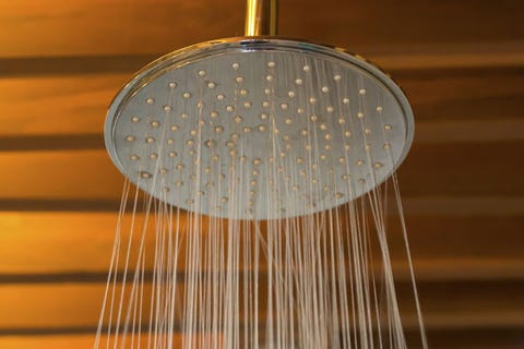 filet shower filter shower