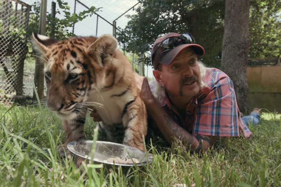 Netflix S Tiger King Season 2 Release Date News Spoilers