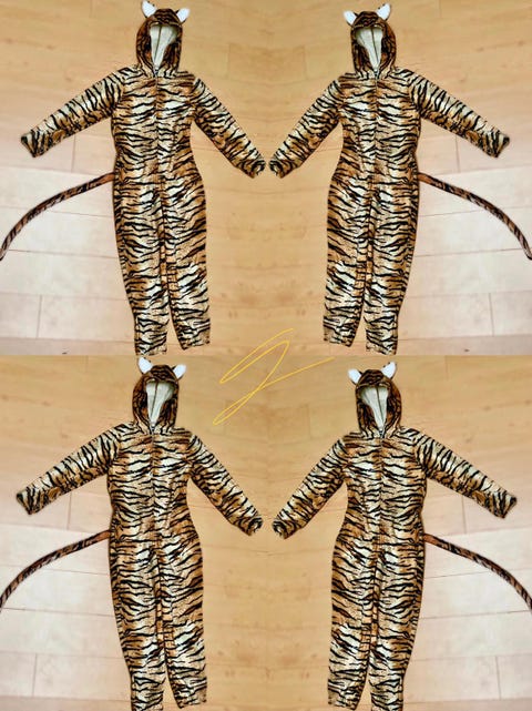 the tiger costumes