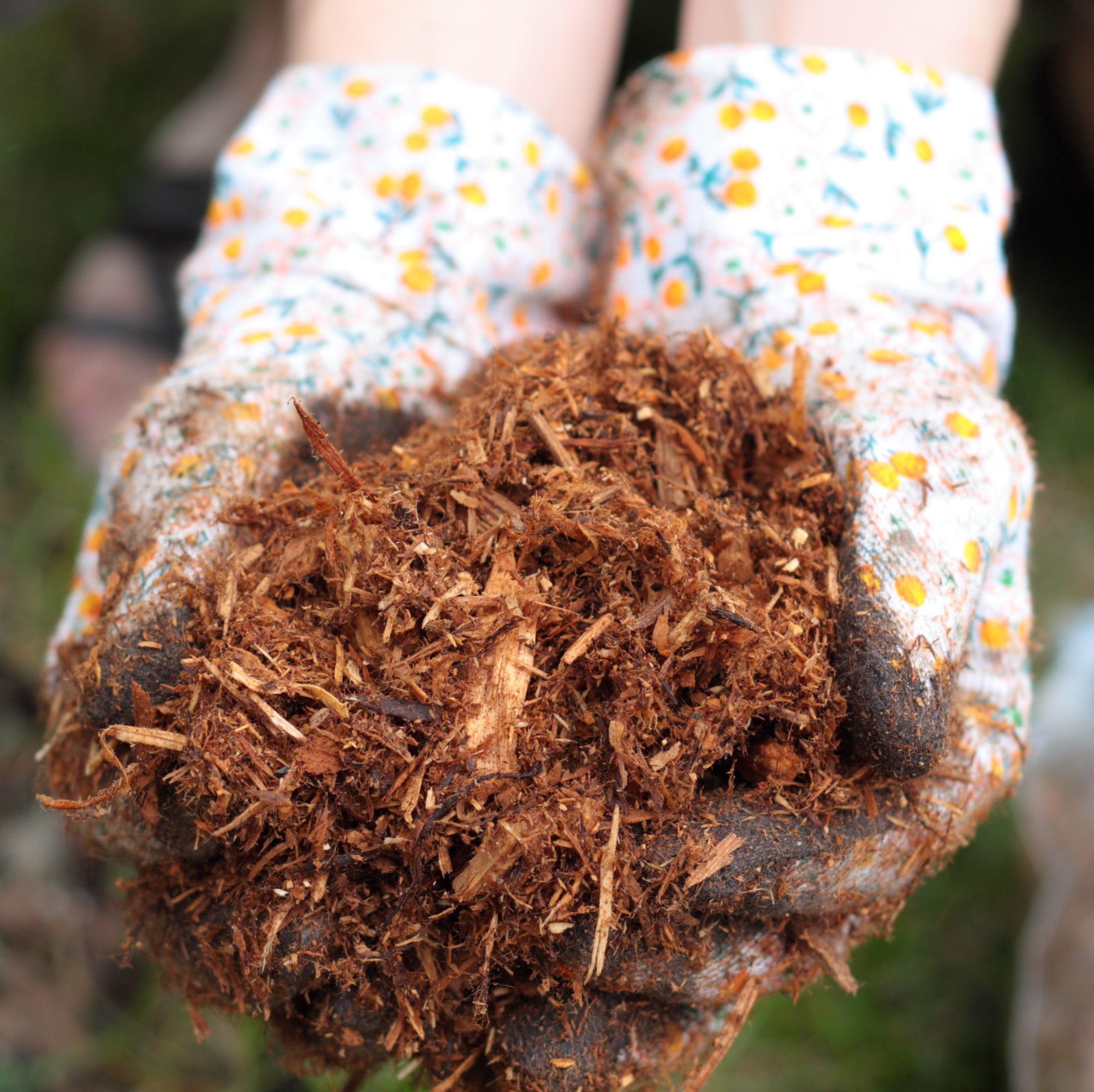 You're Using Mulch All WRONG, According to Professional Landscapers