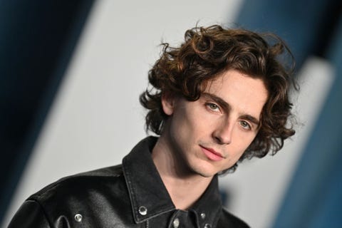 Timothée Chalamet timothée chalamet