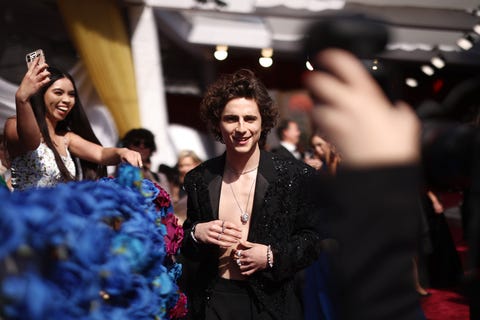 timothée chalamet en la alfombra roja de los oscars 2022