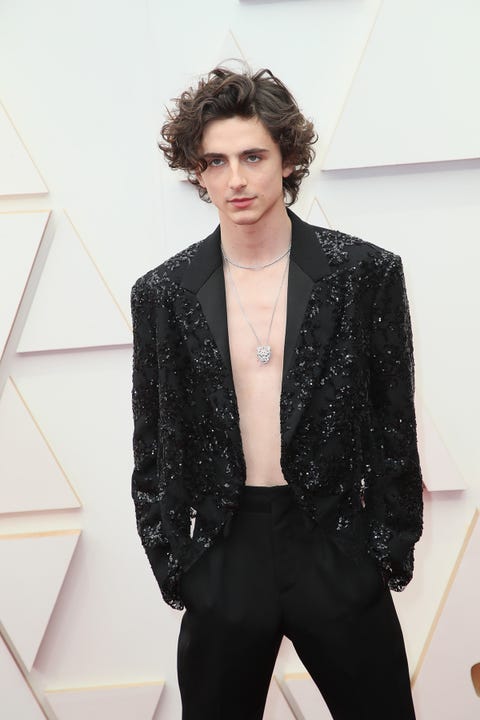 Timothée Chalamet: el look 