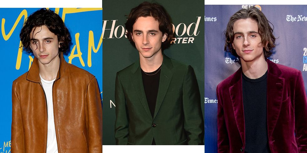 domestic dog Optimistic How To Dress In Your 20s, As Shown By Timothée Chalamet