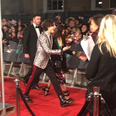 Timothée Chalamet on the BAFTA Awards 2019 red carpet Timothée Chalamet on the BAFTA Awards 2019 red carpet