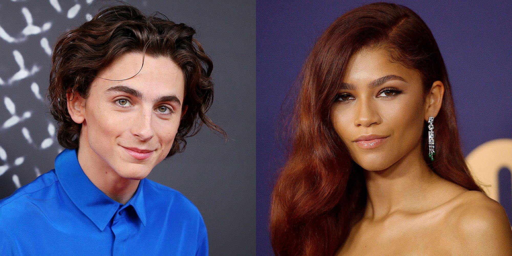 Zendaya And Timothée Chalamet Were Spotted At Bed Bath & Beyond