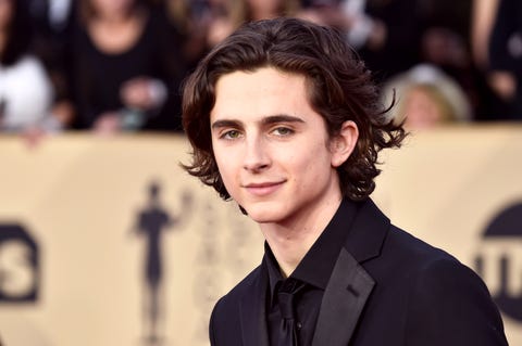 A TikTok Makeup Artist Transformed Themselves Into Timothée Chalamet